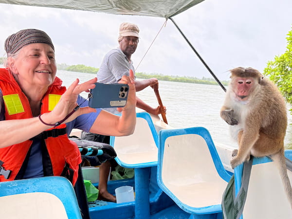 Relaxed Monkey Observing Visitors Nearby